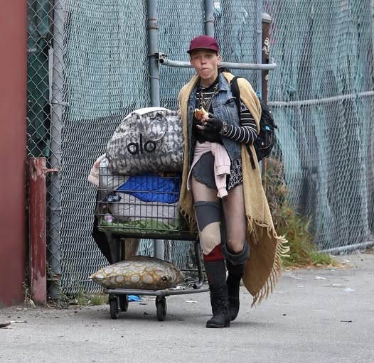 Can you recognize the celebrity in this photo?  Once a famous actress with fame, fortune, and stunning looks, she now lives on the streets, searching for food in trash cans.  Check her name and more photos in the comments below