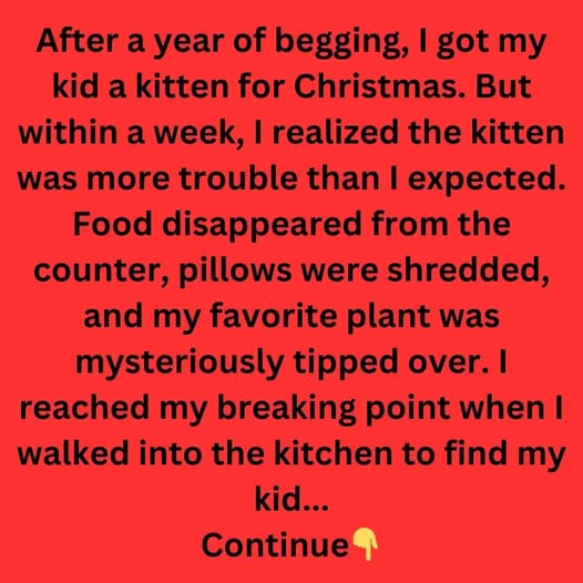 When a Kitten Becomes the Culprit
