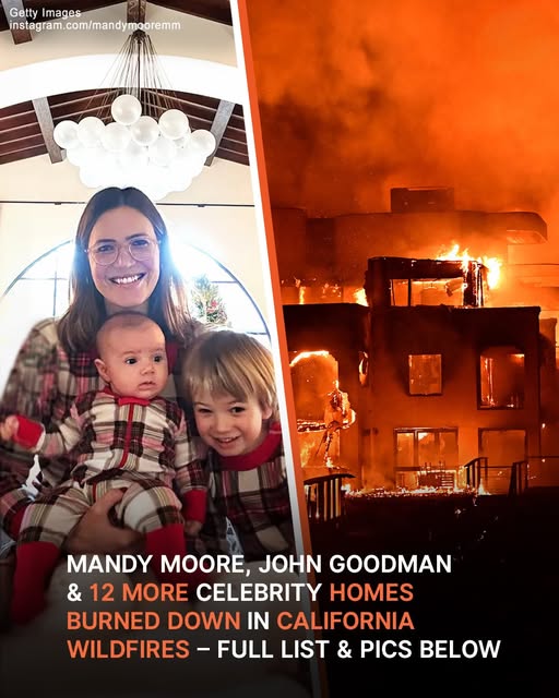 Photos of 13 Celebrity Houses & Neighborhoods Burned to the Ground by LA Wildfires