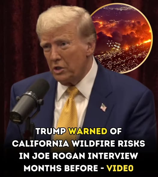 Trump Warned of California Wildfire Risks in Joe Rogan Interview Months Before it Happened