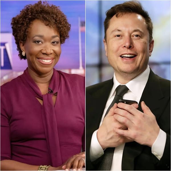 Elon Musk Confirms He Will Spend a Massive Amount to Acquire MSNBC, Vows to Fire Joy Reid to “End the Toxicity”