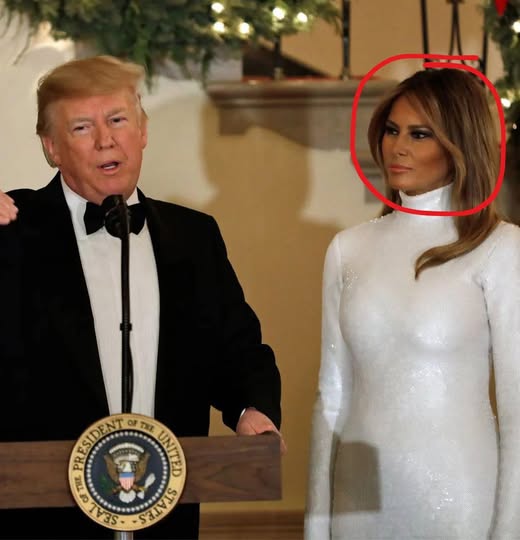 Hidden detail in Melania photo has everybody talking