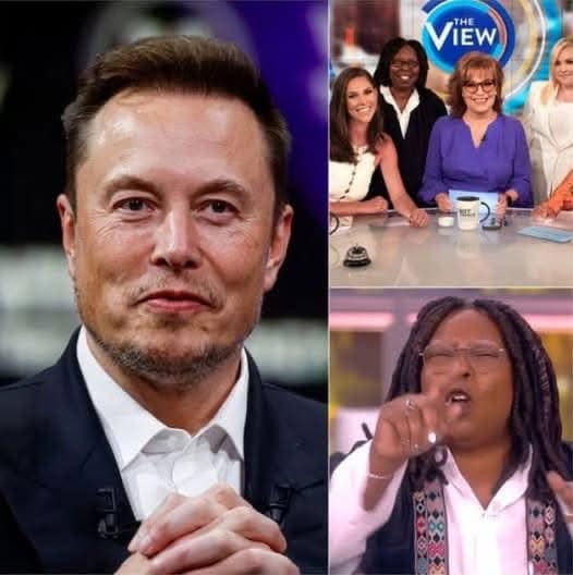 Elon Musk called for a boycott of The View, calling it “a meeting place for ignorant women.” Immediately after, the entire cast responded fiercely.